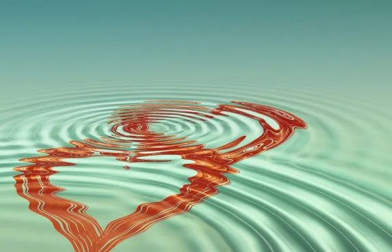 קזינו בלאק מג'יק תמיכה